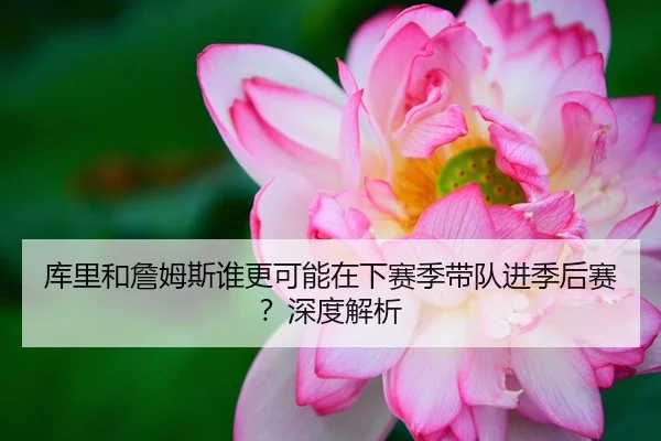 库里和詹姆斯谁更可能在下赛季带队进季后赛？深度解析